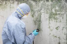 Best Mold Removal for HVAC Installations  in Buckhead Ridge, FL